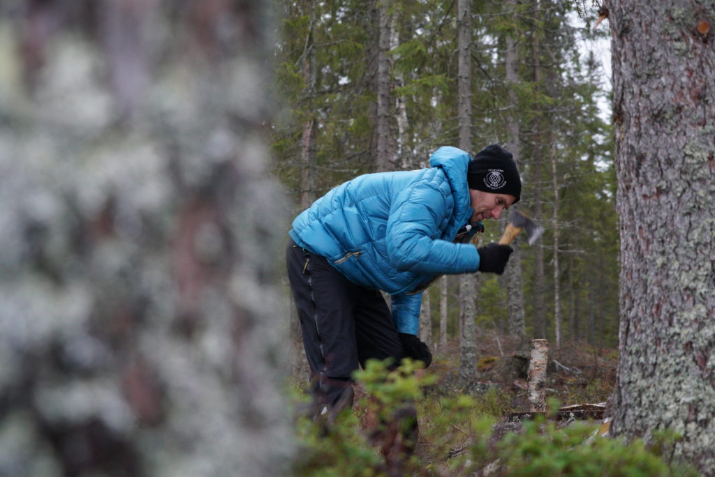 Skogsbrukstekniker Yrkeshögskola 3
