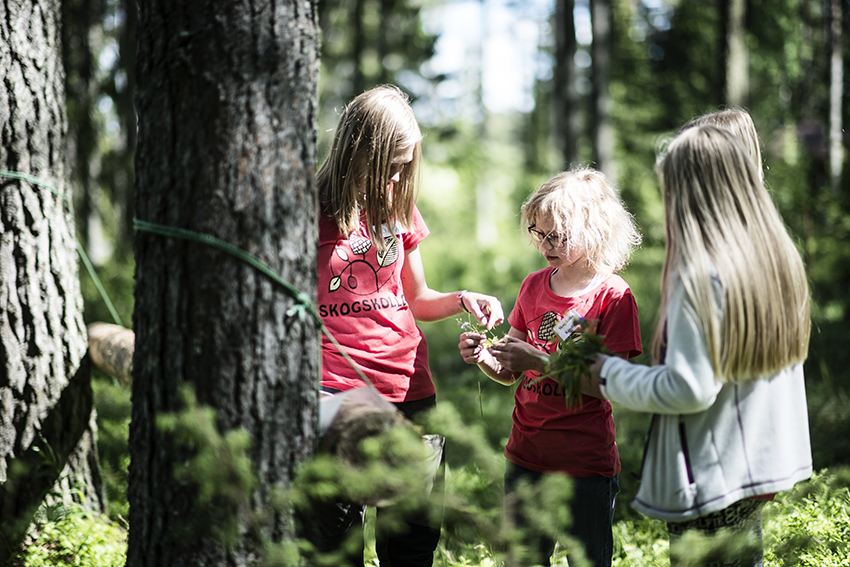 Skogskollo för tjejer - övernattning i det fria, studiebesök och spännande möten 1 Skogskollo för tjejer - övernattning i det fria, studiebesök och spännande möten 1