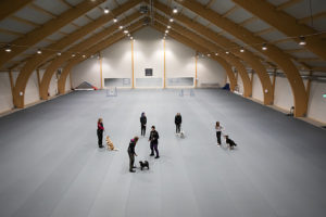 BOKA DILLES HUNDHALL 3