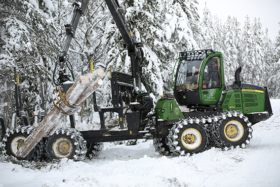 FRAMTIDENS JOBB FINNS I SKOGEN 1