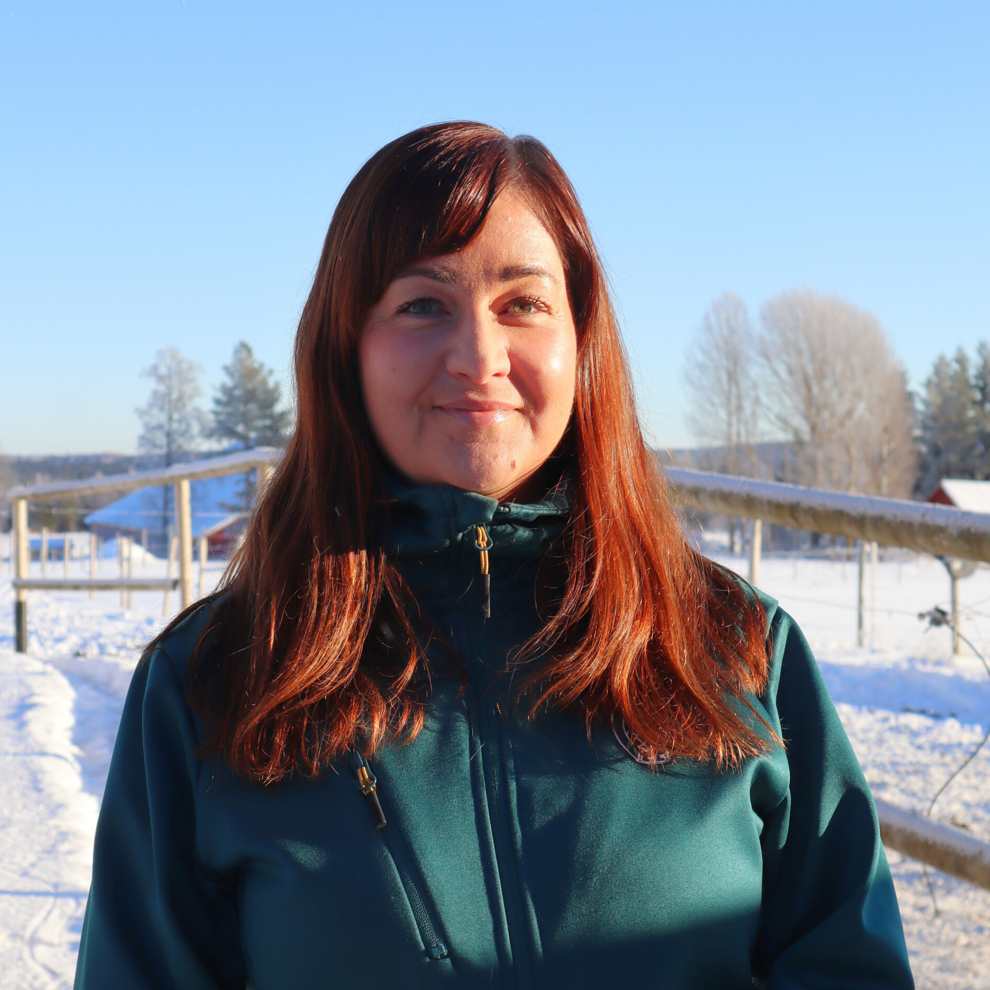 Vi som jobbar på Dille 11